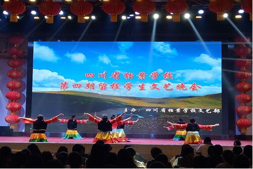 浓情五月 激扬青春――我校团委举办第四期留校学生文艺晚会